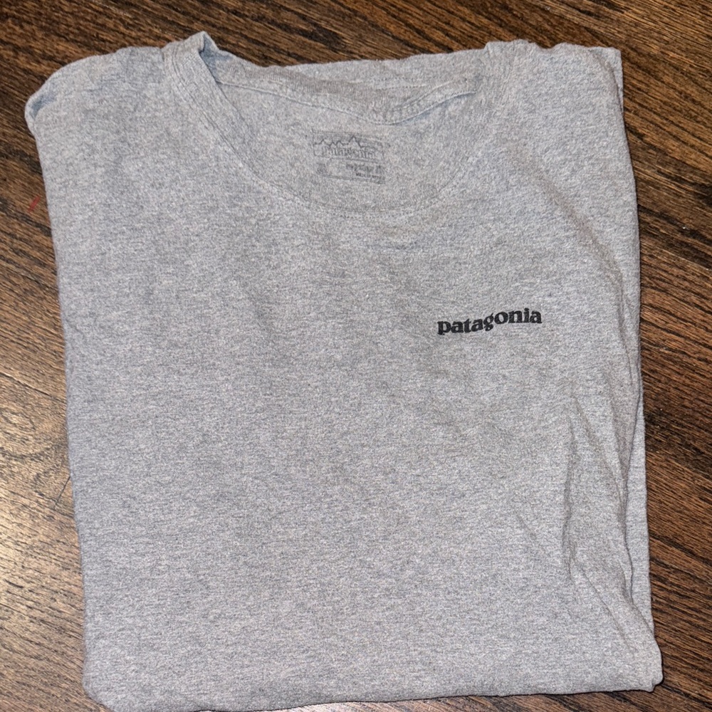 Patagonia Men's Heather Gray Tee